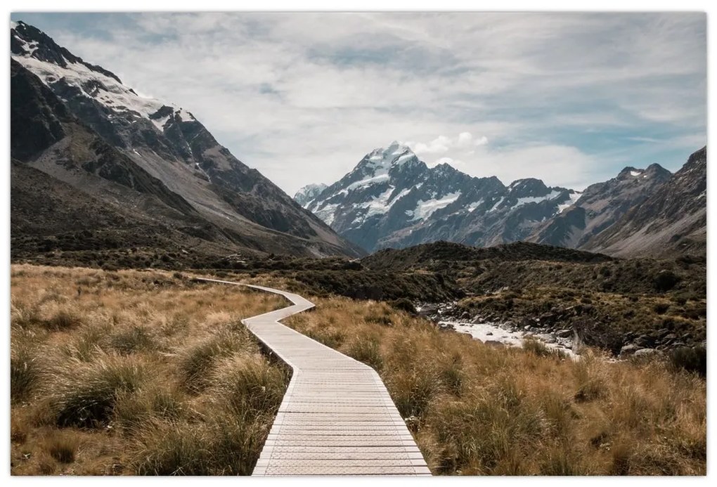 Obraz - Chodník v údolí hory Mt. Cook (90x60 cm)