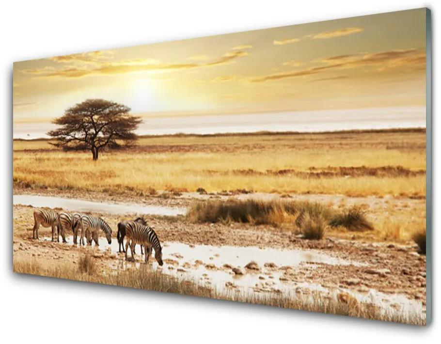 Obraz na skle Púšť krajina 100x50cm