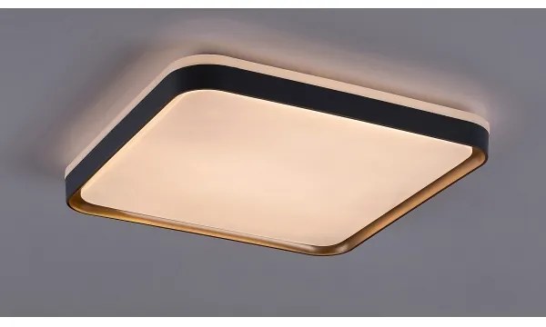 Rabalux 71029 - LED stropné svietidlo LIATRIS LED/26W/230V 3000K