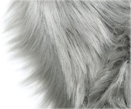 Koberce Breno Kusový koberec CLAIRE NEW sivý, sivá,60 x 90 cm