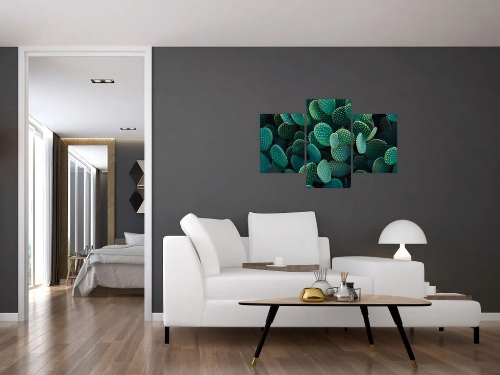 Obraz - Opuncie (90x60 cm)