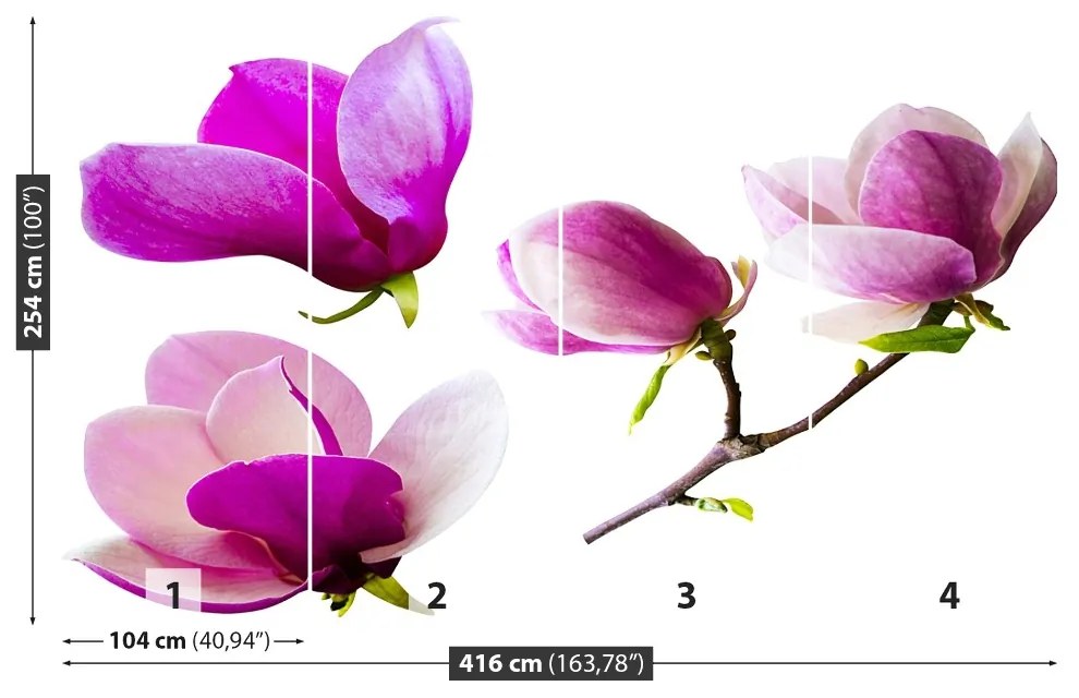 Fototapeta Vliesová Květy magnólie 250x104 cm