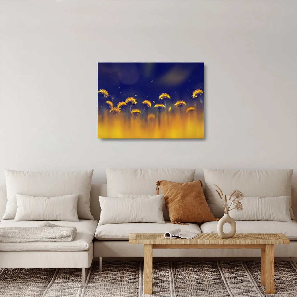 Sklenený obraz - Púpavy (70x50 cm)