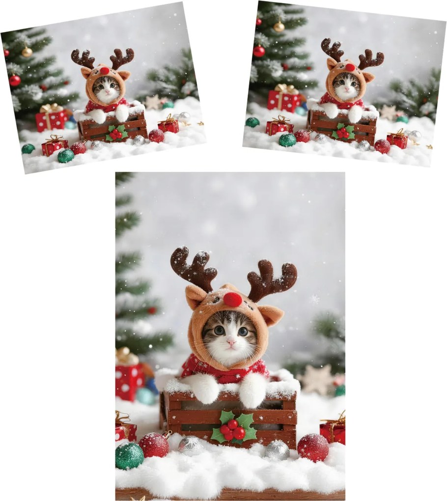 3D obliečky z mikrovlákna RUDOLPH KITTEN farebné Rozmer obliečky: 2 ks 70 x 90 cm | 140 x 200 cm