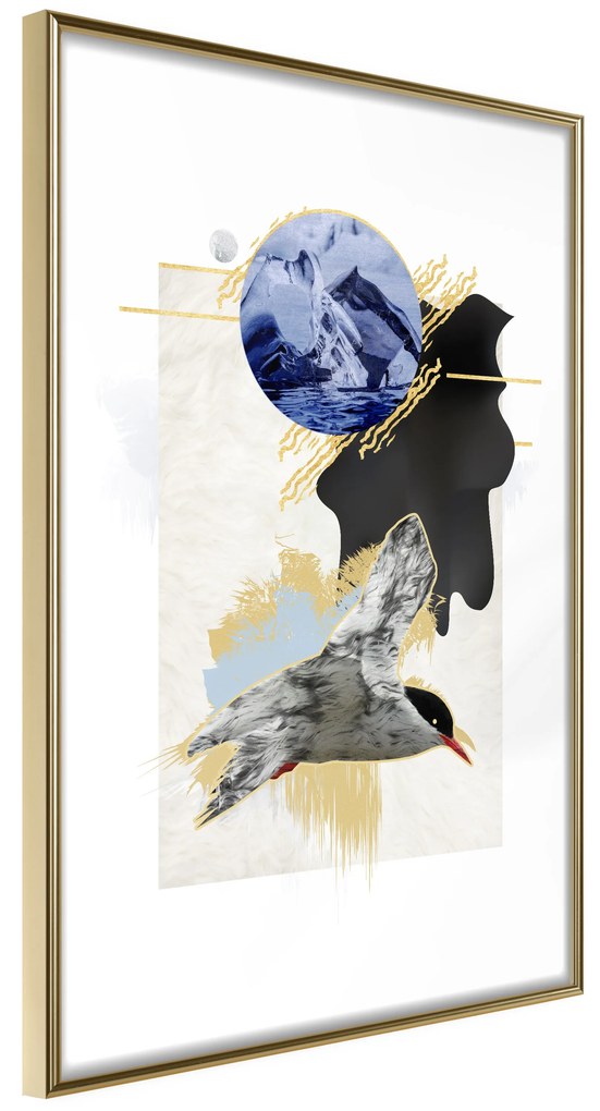 Artgeist Plagát - Antarctic Tern [Poster] Veľkosť: 30x45, Verzia: Zlatý rám s passe-partout