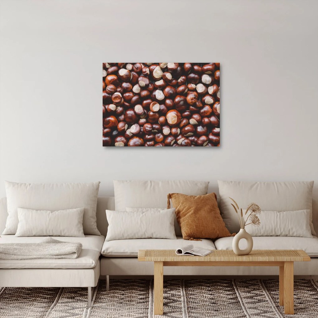 Obraz - Zrelé gaštany (70x50 cm)
