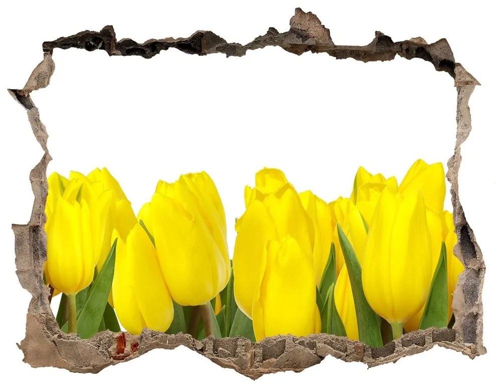 Samolepící nálepka fototapeta Žlté tulipány nd-k-2665979