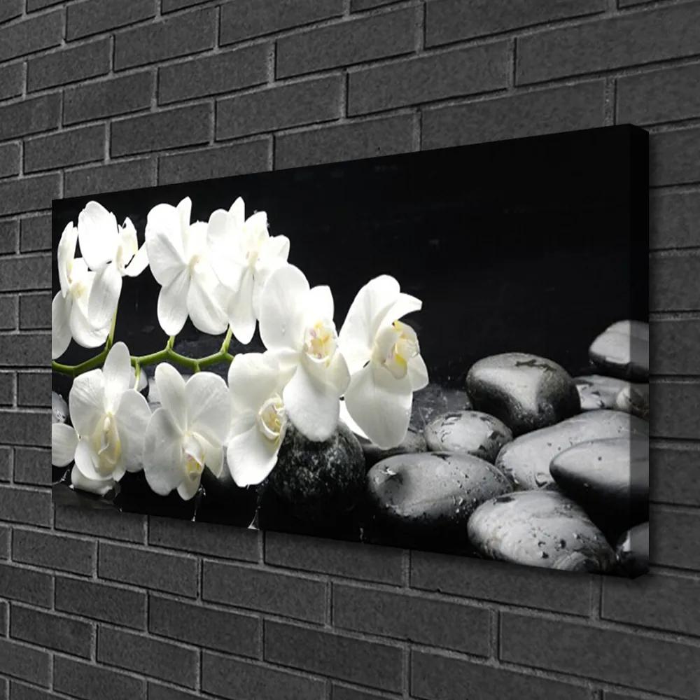 Obraz na plátne Kvet kamene rastlina 120x60 cm