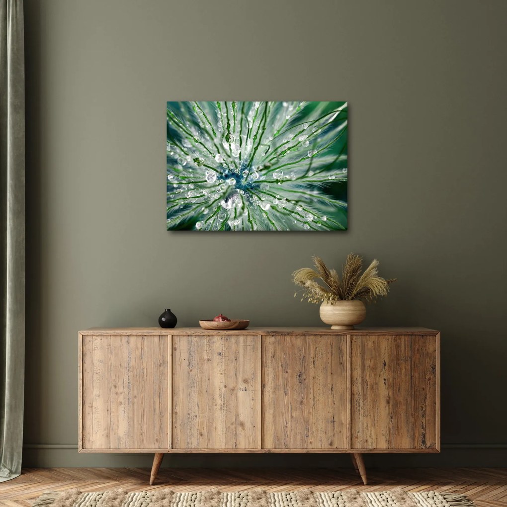 Obraz - Makro snímka kvetu (70x50 cm)