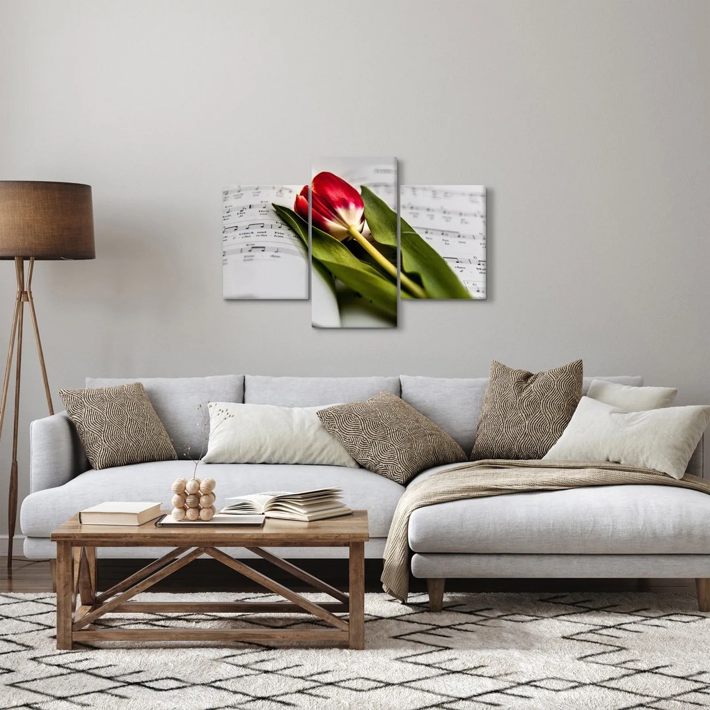 Obraz červeného tulipánu (90x60 cm)