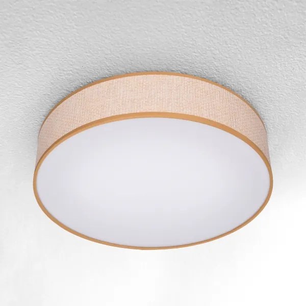 BRILAGI - LED Stmievateľné stropné svietidlo CARMEN LED/48W/230V 3000-6500K + DO