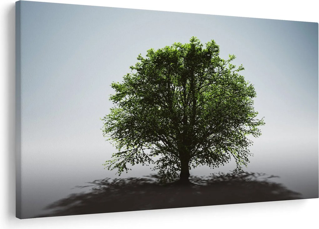 Obraz - Osamotený strom (90x60 cm)