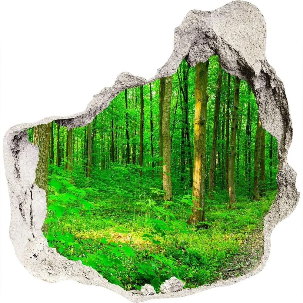 Samolepiaca diera nálepka Stromy v lese WallHole-75x75-piask-69570264