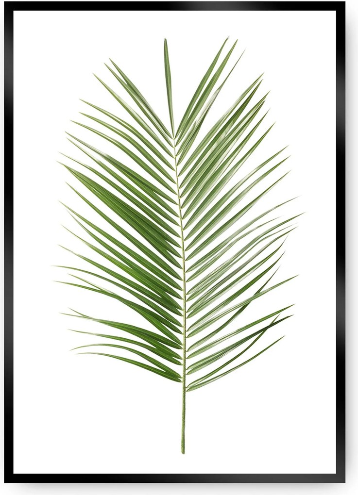 Plagát Palm Leaf Green