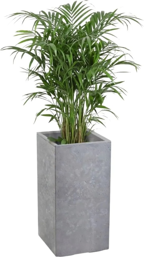 Sada 2 ks květináčů BETONIQUE 30x30/30x60 cm - výber z 4 prevedení