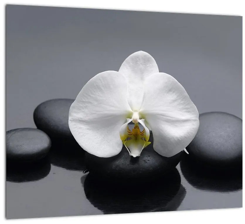 Kvet orchidey - moderný obraz