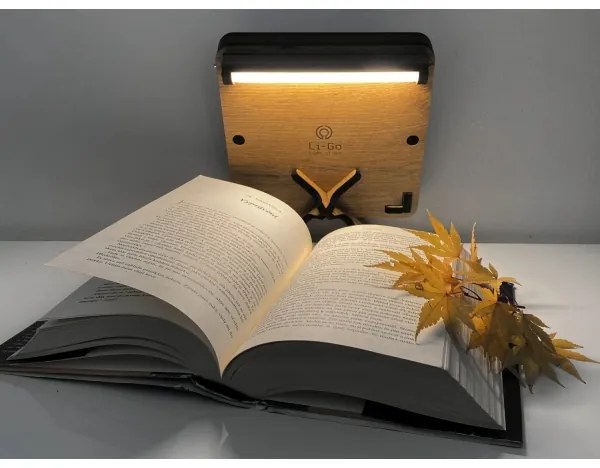 Li-Go 4070/DUB2 - LED Stolná dekorácia LED/12W/230V 19x19 cm dub/kôň