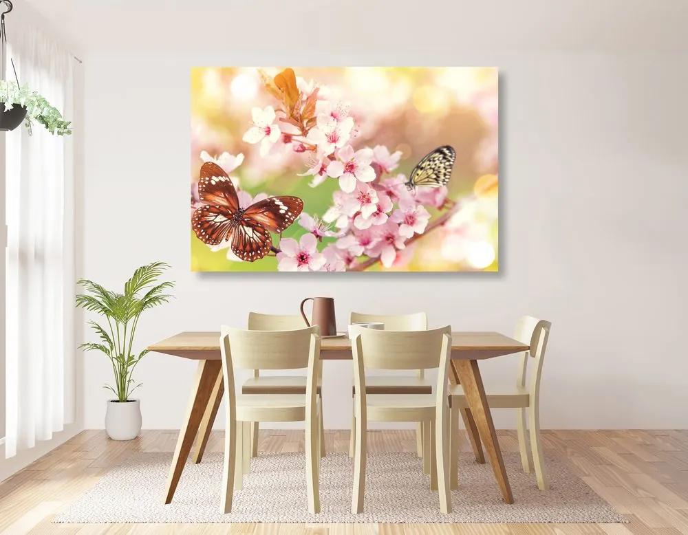 Obraz jarné kvety s exotickými motýľmi Varianta: 120x80