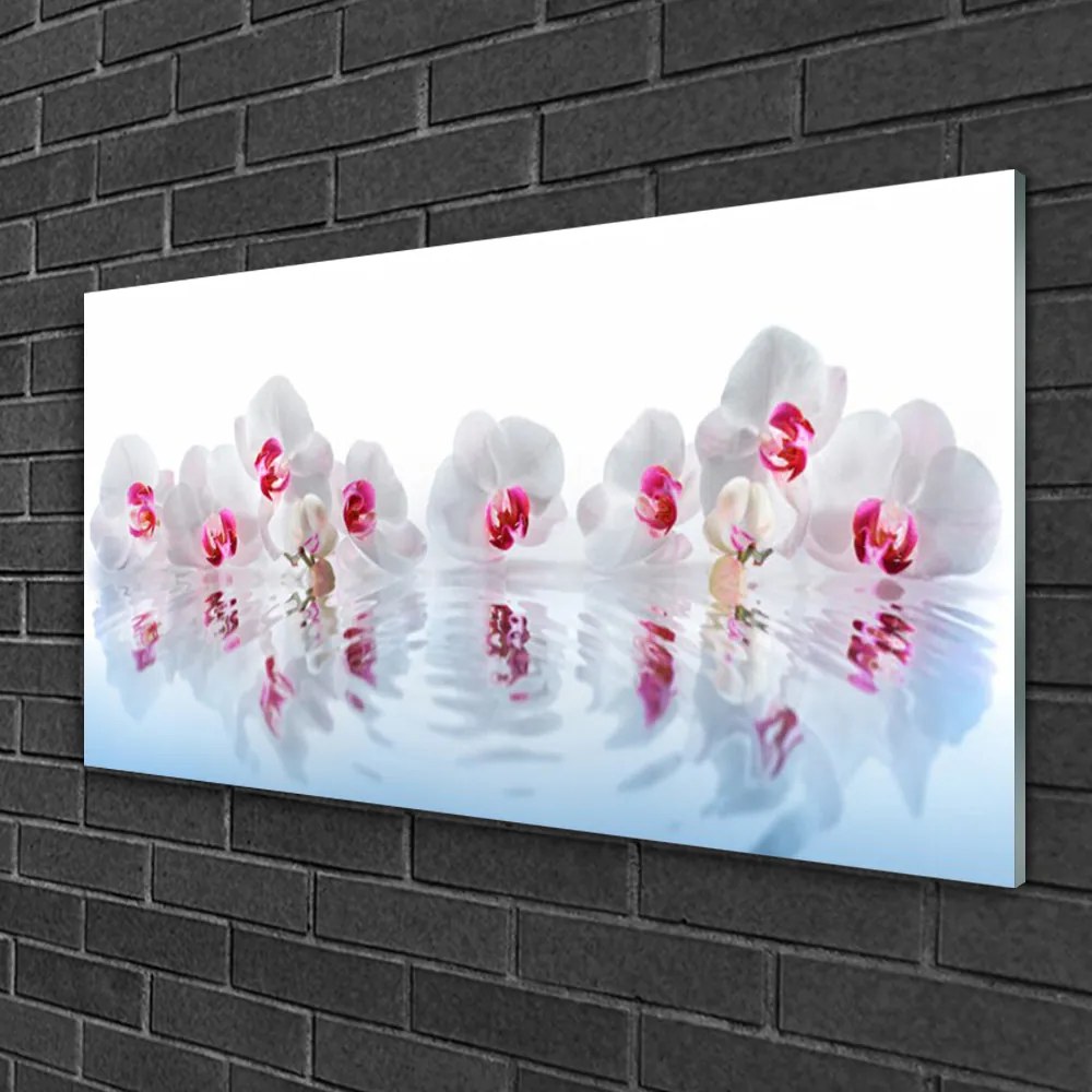 Obraz na skle Kvety rastlina príroda umenie 120x60 cm