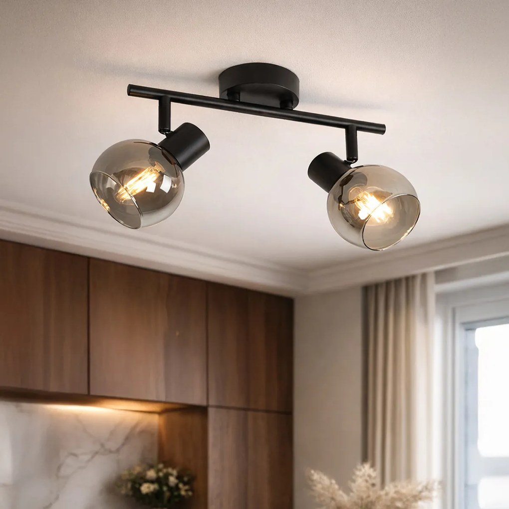 Art Deco stropné svietidlo čierne s dymovým sklom 2-svetlá - Vidro