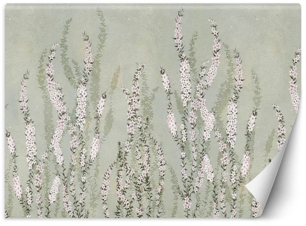 Gario Fototapeta Zvončekové malé kvety na pozadí steny Materiál: Vliesová, Rozmery: 200 x 140 cm