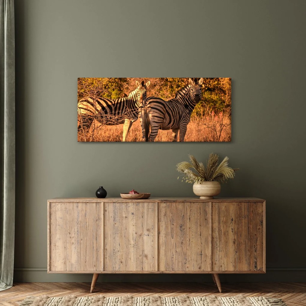 Obraz zebier (120x50 cm)
