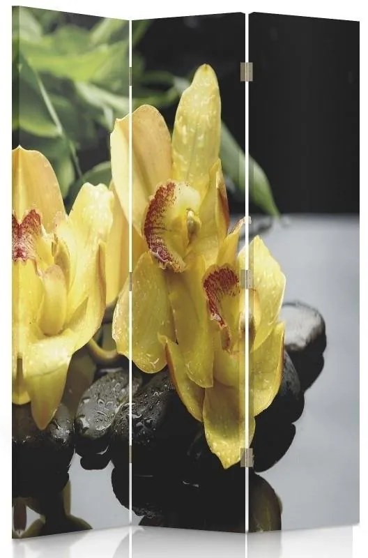 Gario Paraván Pôvab žltej orchidey Rozmery: 145 x 170 cm, Prevedenie: Klasický paraván