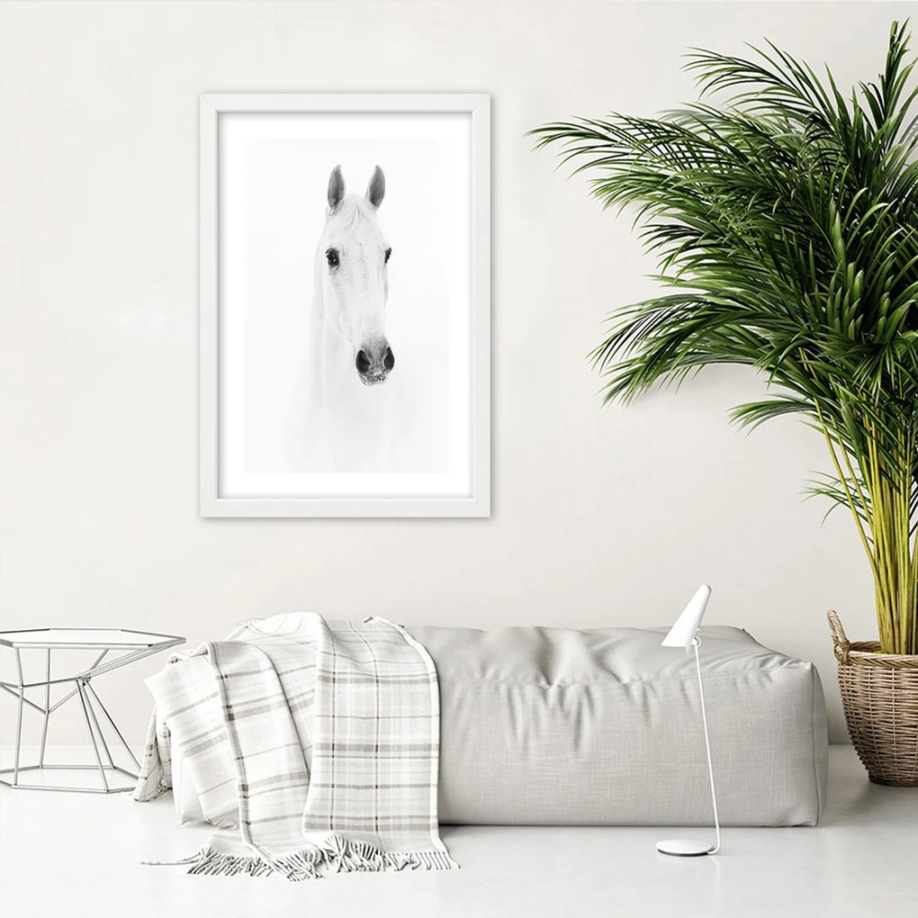 Gario Plagát Sivý kôň Farba rámu: Bez rámu, Rozmery: 70 x 100 cm