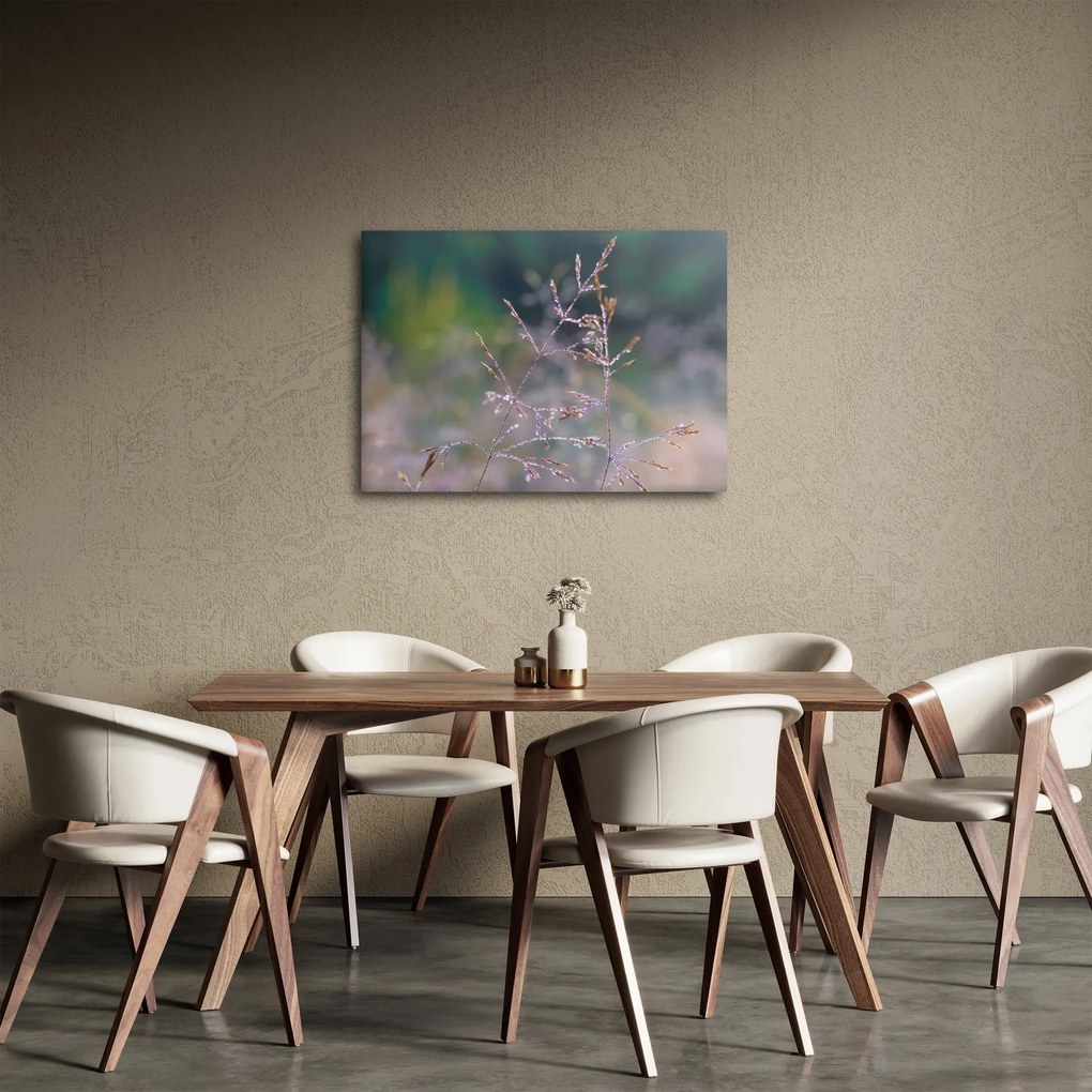 Obraz - Detail traviny (70x50 cm)