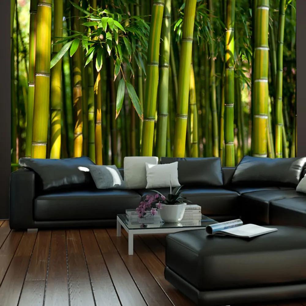 Artgeist Fototapeta - Asian bamboo forest Veľkosť: 350x270, Verzia: Premium