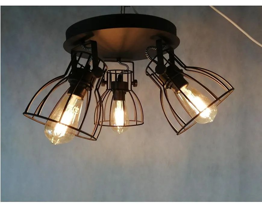 Luster Alano black 2123 PL3