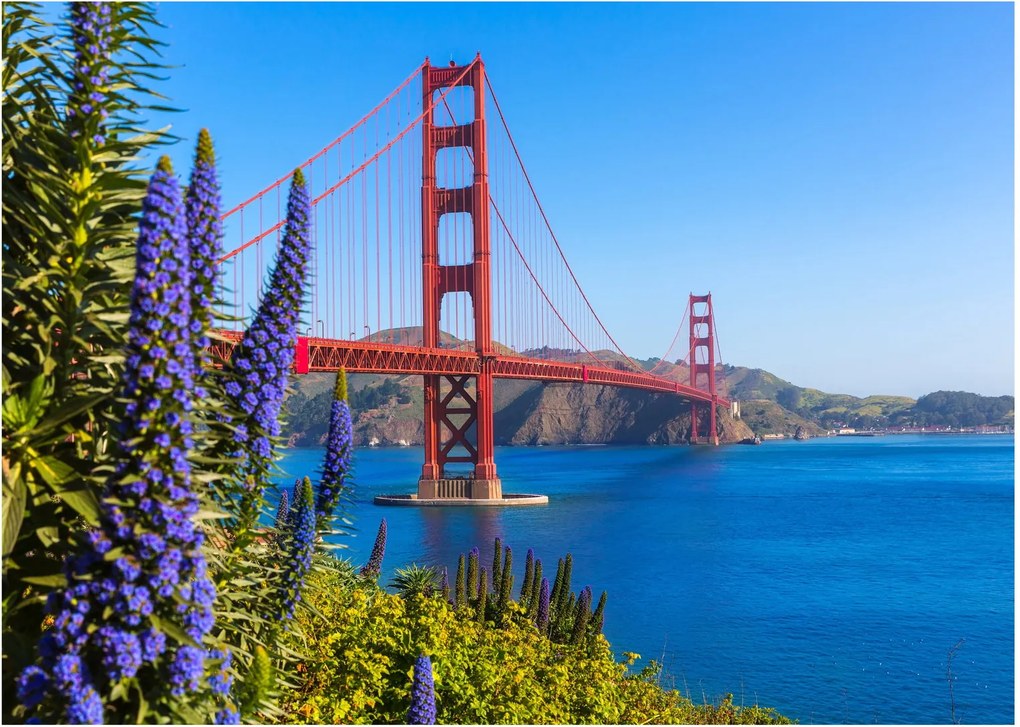 Sklenený obraz - Golden Gate Bridge, San Francisco (70x50 cm)