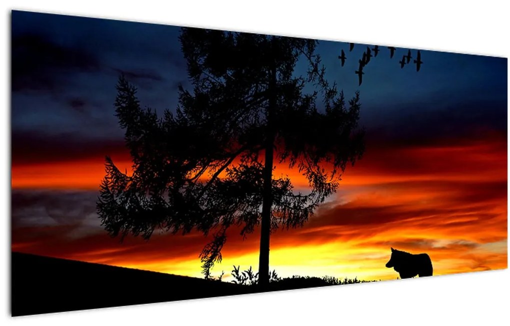 Obraz - Silueta vlka (120x50 cm)