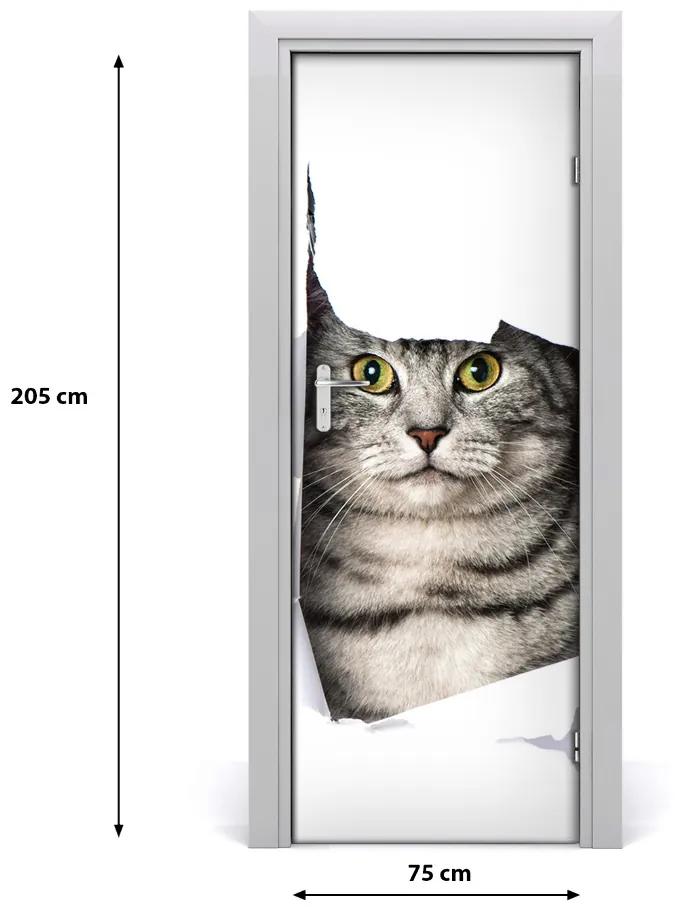 Fototapeta samolepiace na dvere mačka v diere 75x205 cm