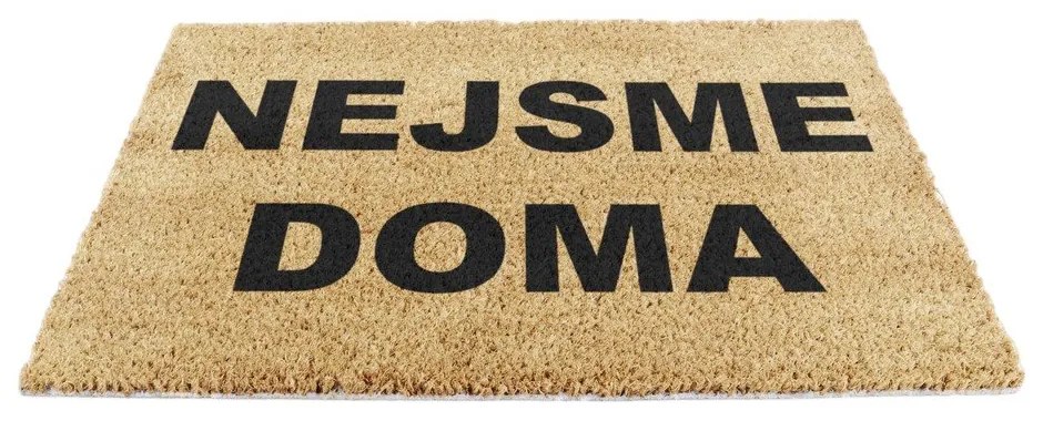 Rohožka z kokosového vlákna 40x60 cm Nejsme Doma – Artsy Doormats