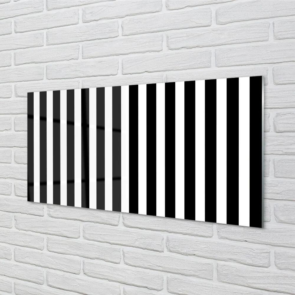 Sklenený obraz Geometrické zebra pruhy 125x50 cm