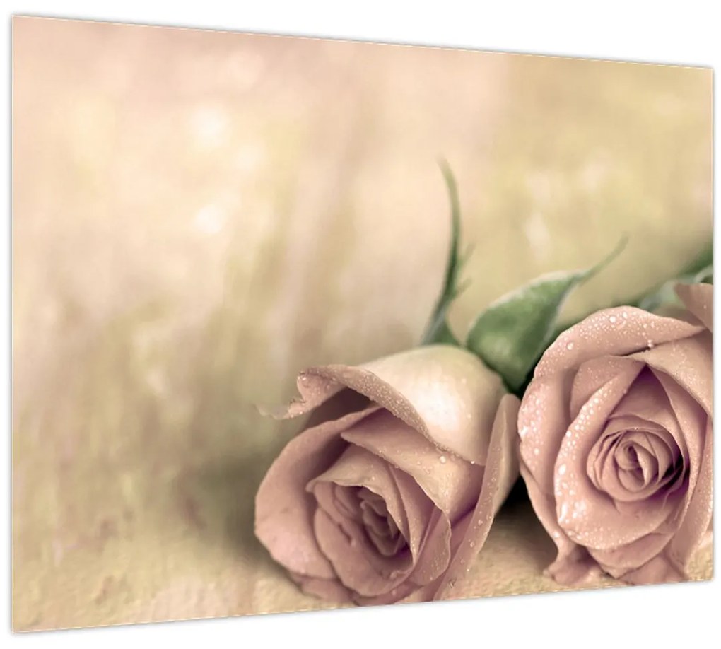 Sklenený obraz - Jemné ruže (70x50 cm)