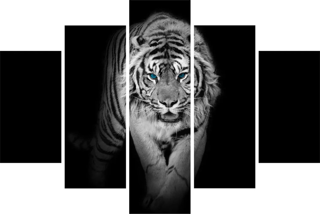Obraz - Tiger s modrými očami (150x105 cm)