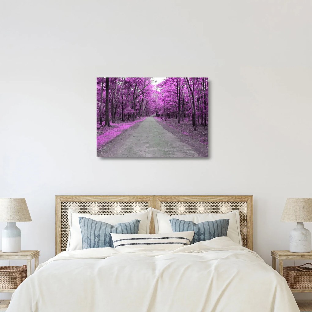 Sklenený obraz - Cesta parkom (70x50 cm)