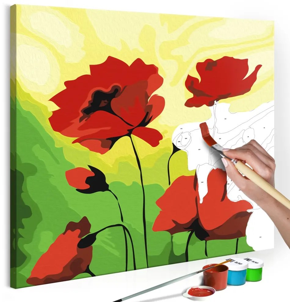 Maľovanie podľa čísiel - Poppies 45x45