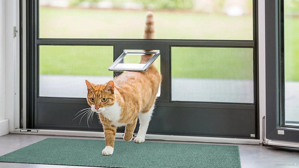 Rohožka Wash & Clean 103836 Olive Green, 120x180, zelená, chodba / predsieň, Hanse Home