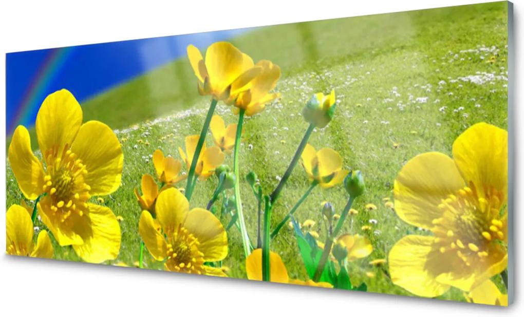 Obraz na skle Lúka Kvety Dúha Príroda