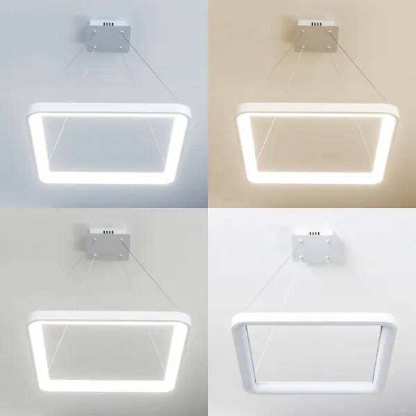 Brilagi - Stmievateľný LED luster na lanku FALCON SLIM LED/50W/230V 50x50 cm biela + s diaľkovým ovládačom