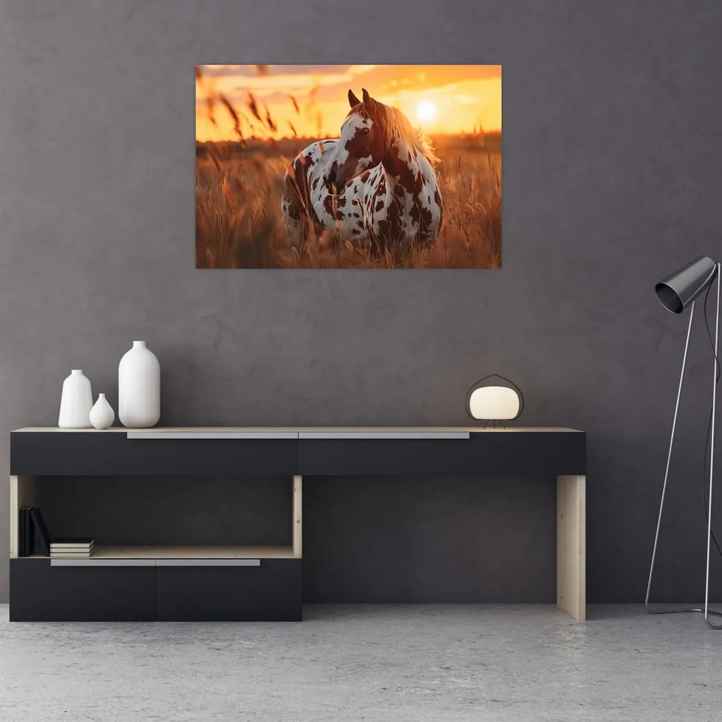 Obraz - Kôň pri západe slnka (90x60 cm)