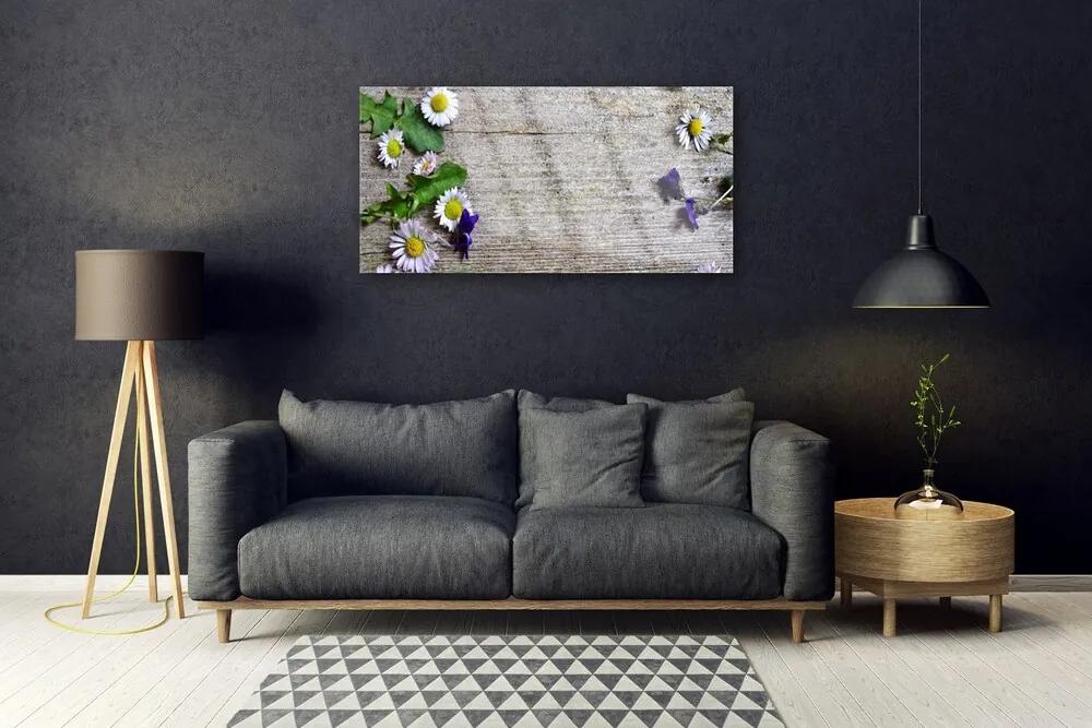 Skleneny obraz Sedmokráska rastlina príroda 100x50 cm