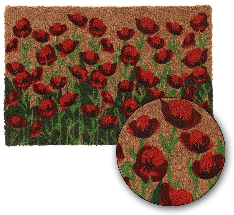Vonkajšia rohožka Poppies, 60x40 cm