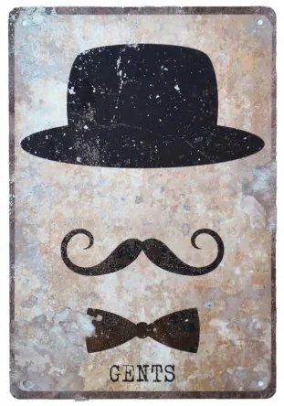 Ceduľa plechová 20x30 MP9