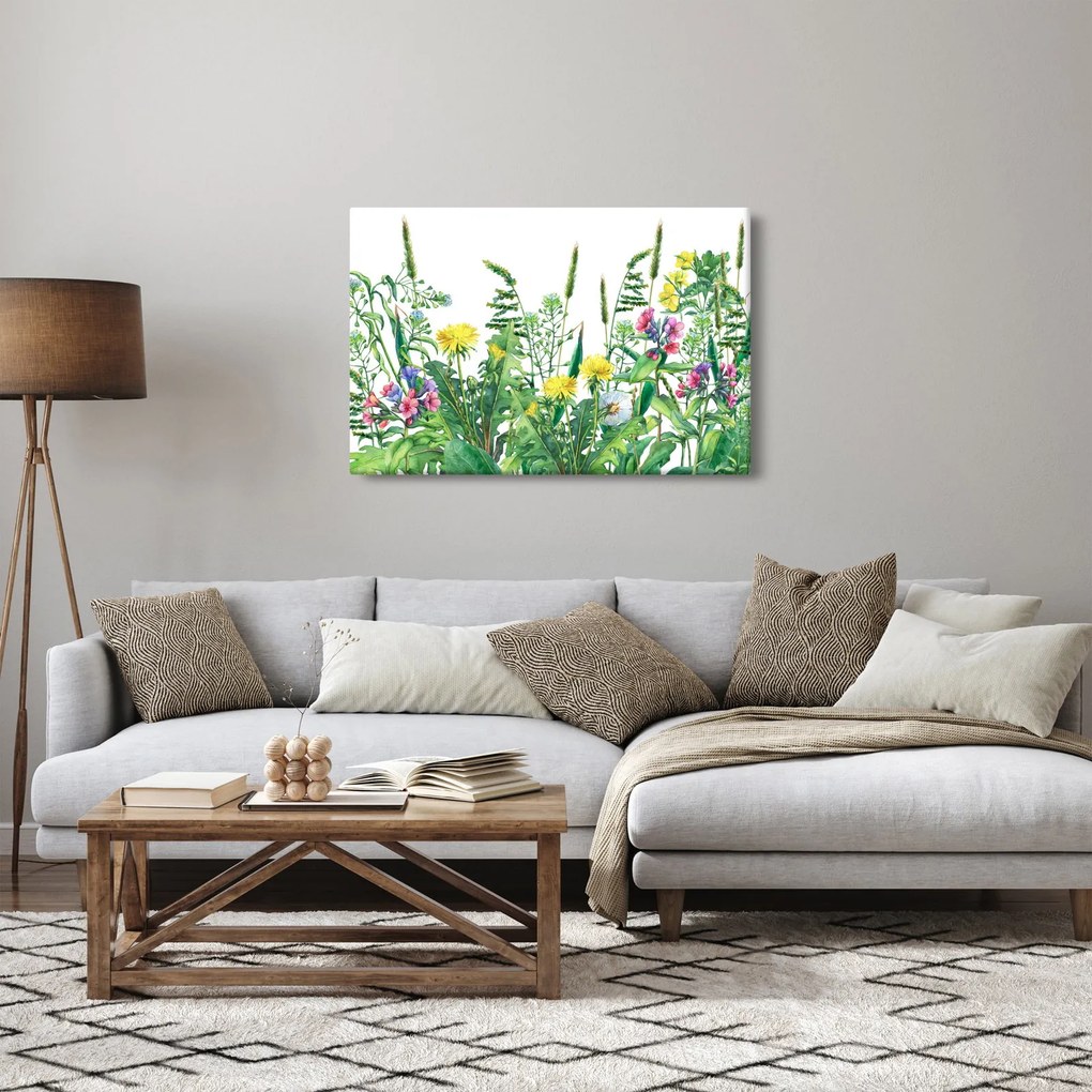 Obraz - Maľované lúčne kvety (90x60 cm)