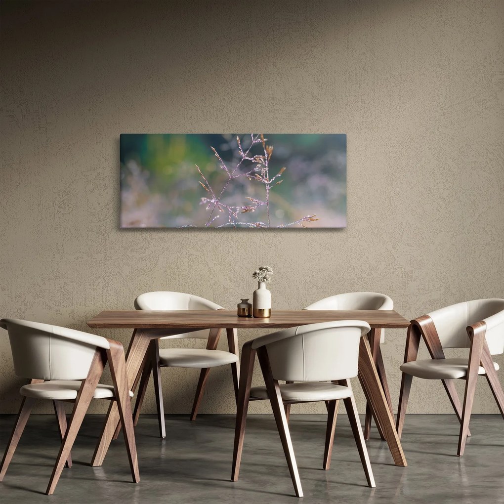 Obraz - Detail traviny (120x50 cm)