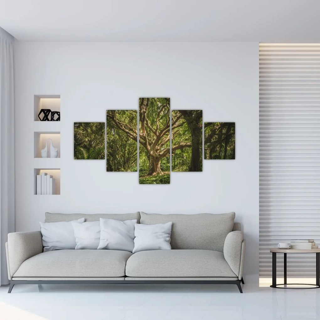 Obraz stromov (125x70 cm), 40 ďalších rozmerov